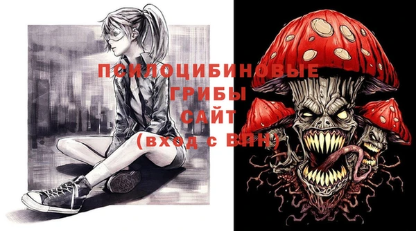 гашик Дмитриев
