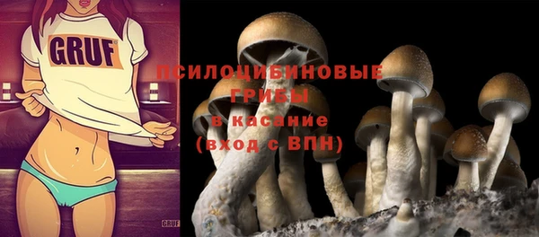 PSILOCYBIN Елабуга